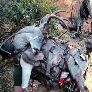 Meet your Posher, Paul f.